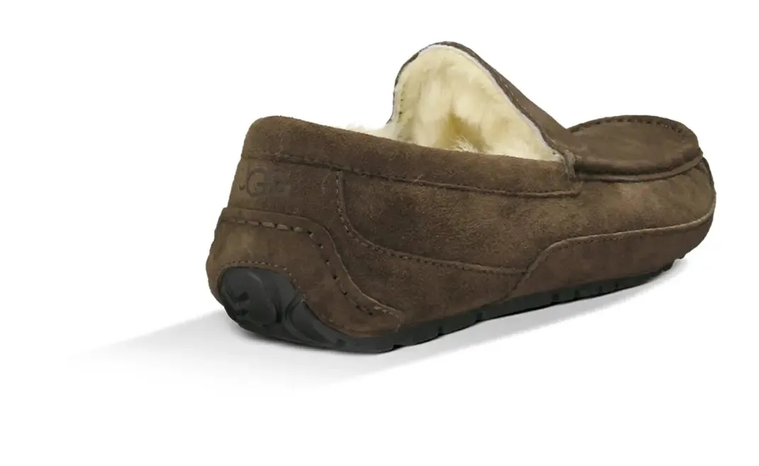 Men’s UGG Ascot (Suede) – Classic Moc-Toe Slipper with Indoor/Outdoor Comfort