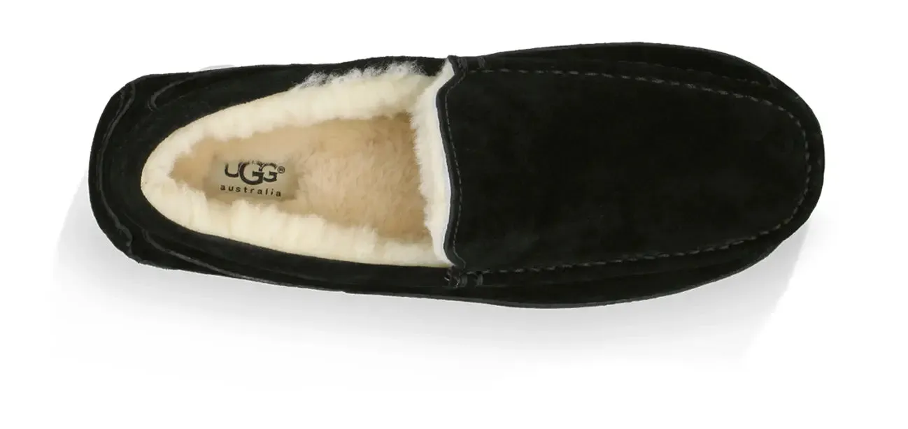 Men’s UGG Ascot (Suede) – Classic Moc-Toe Slipper with Indoor/Outdoor Comfort