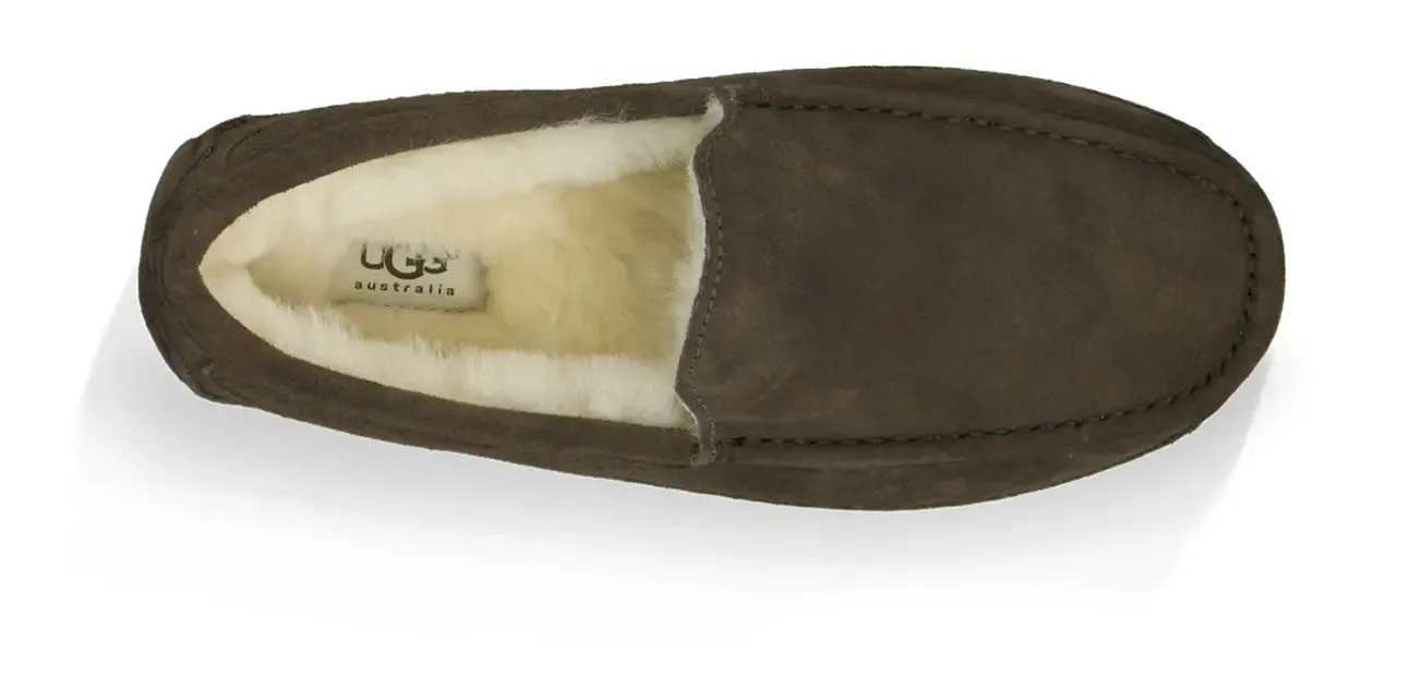 Men’s UGG Ascot (Suede) – Classic Moc-Toe Slipper with Indoor/Outdoor Comfort
