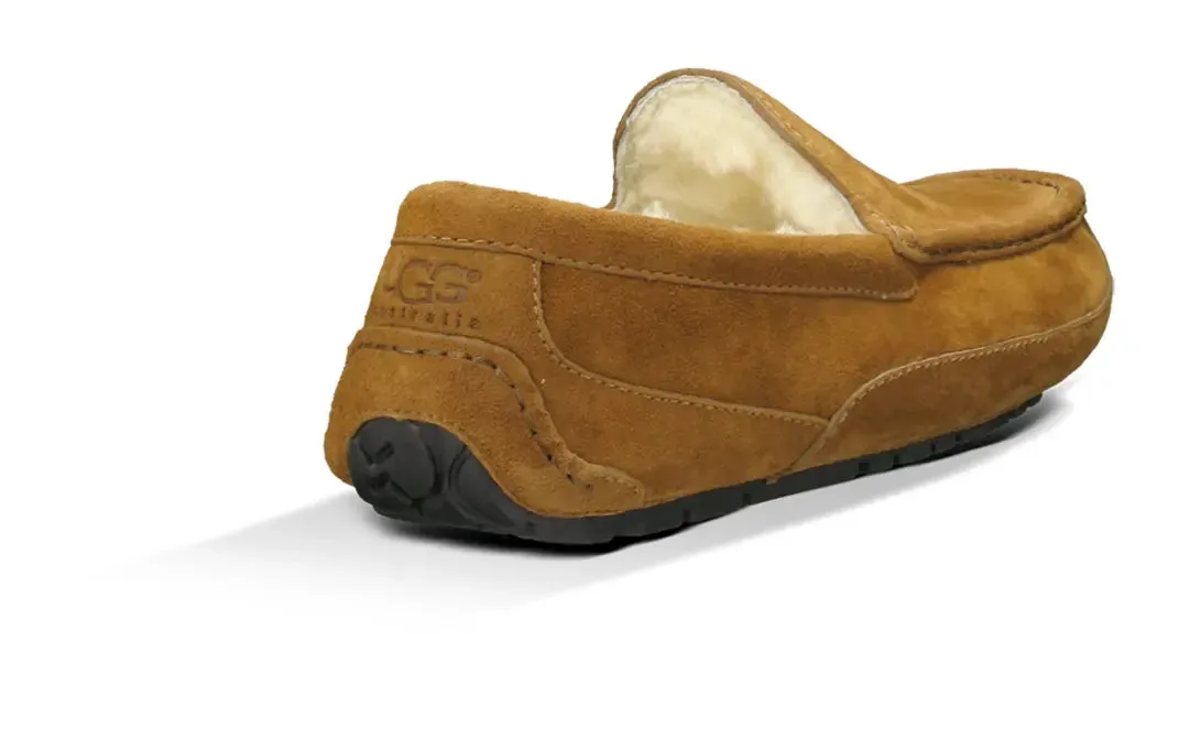 Men’s UGG Ascot (Suede) – Classic Moc-Toe Slipper with Indoor/Outdoor Comfort