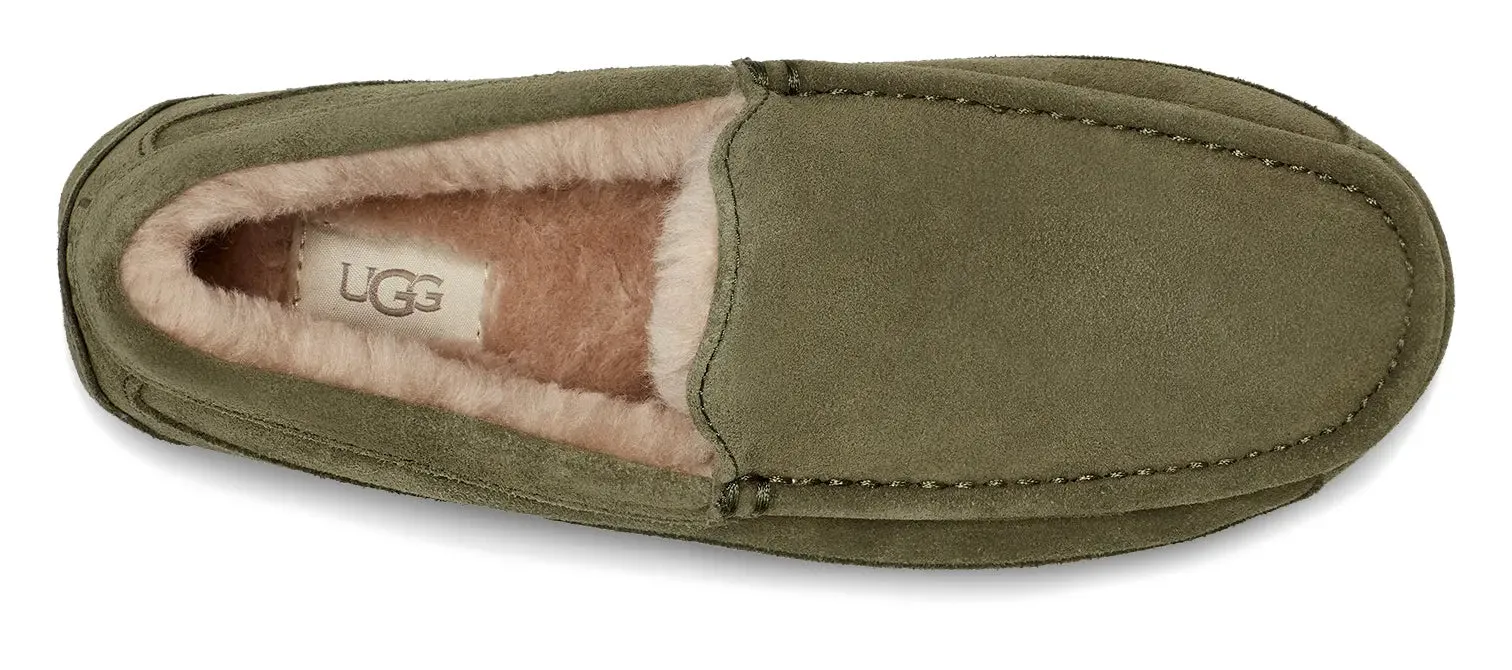 Men’s UGG Ascot (Suede) – Classic Moc-Toe Slipper with Indoor/Outdoor Comfort
