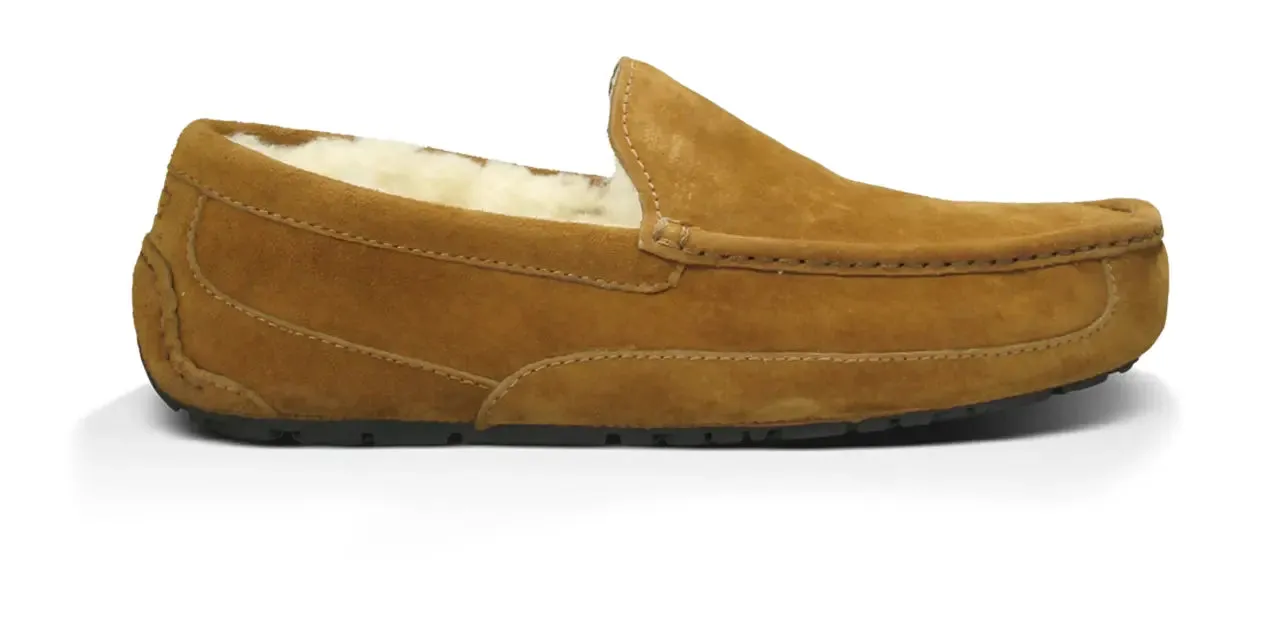 Men’s UGG Ascot (Suede) – Classic Moc-Toe Slipper with Indoor/Outdoor Comfort