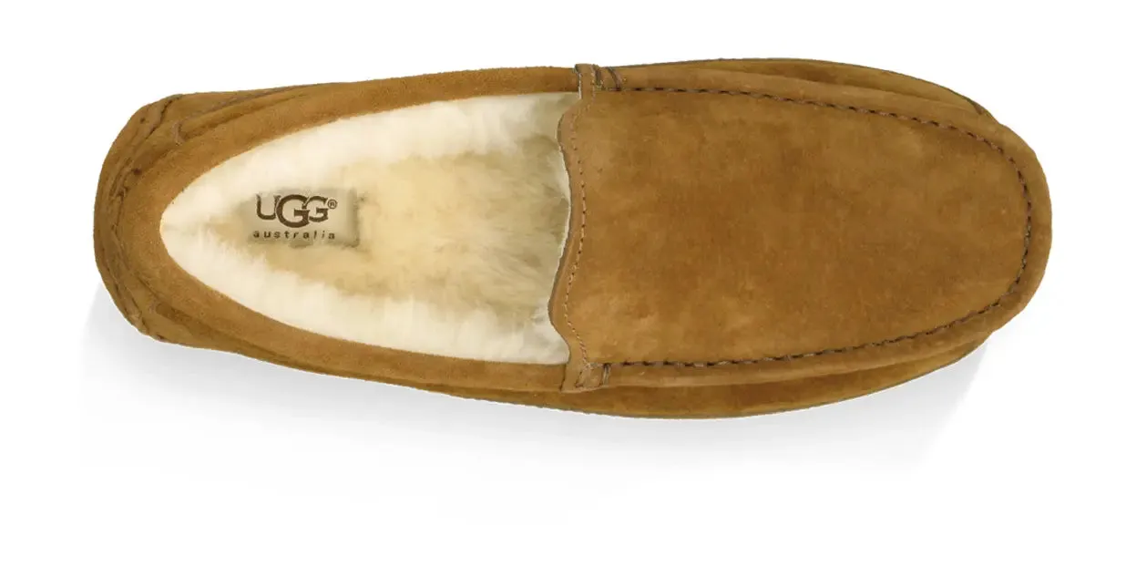 Men’s UGG Ascot (Suede) – Classic Moc-Toe Slipper with Indoor/Outdoor Comfort
