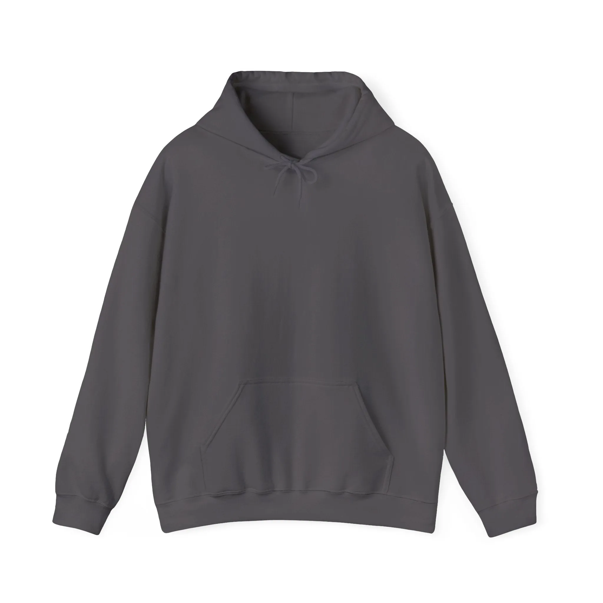 Some walks you have take alone (Hoodie)