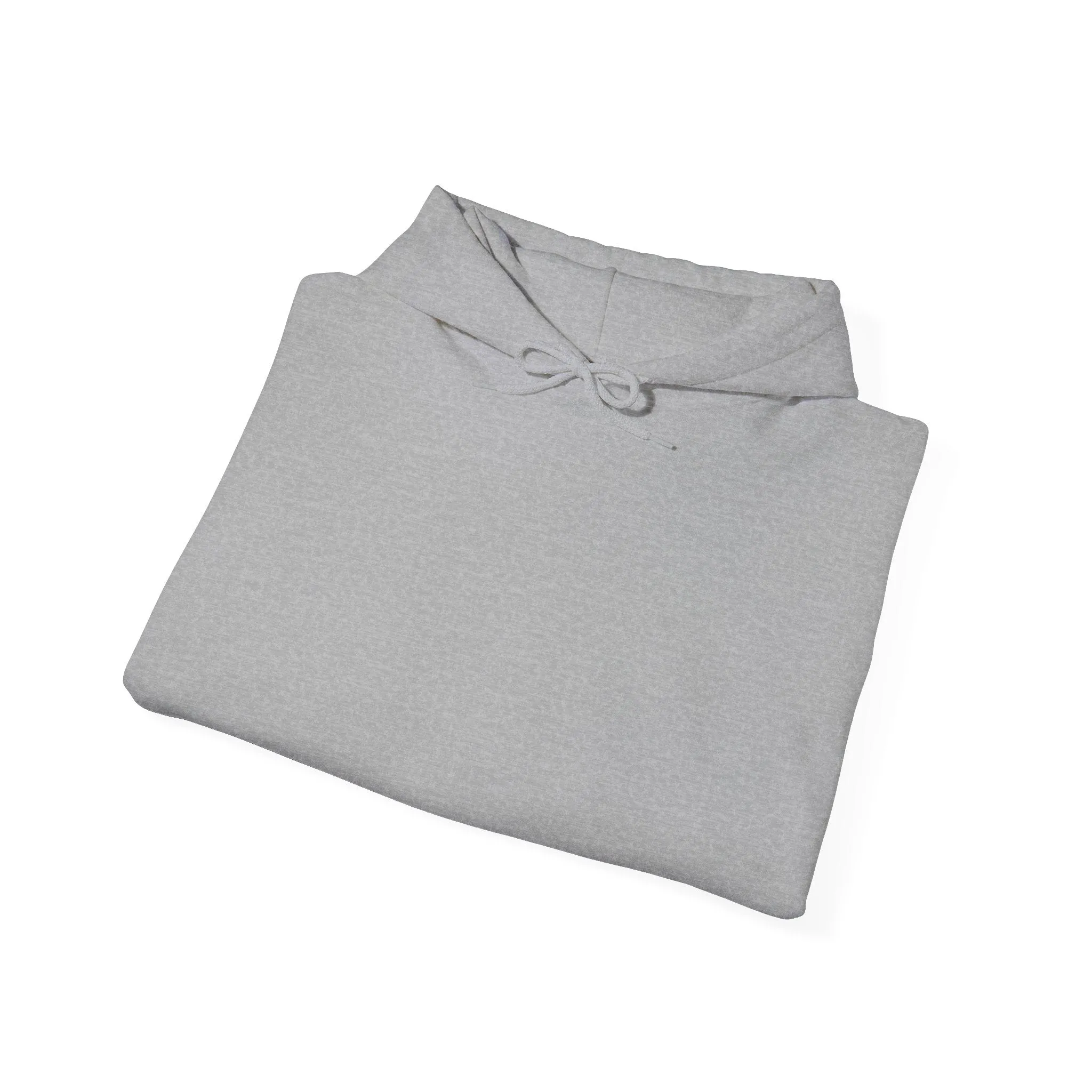 Some walks you have take alone (Hoodie)